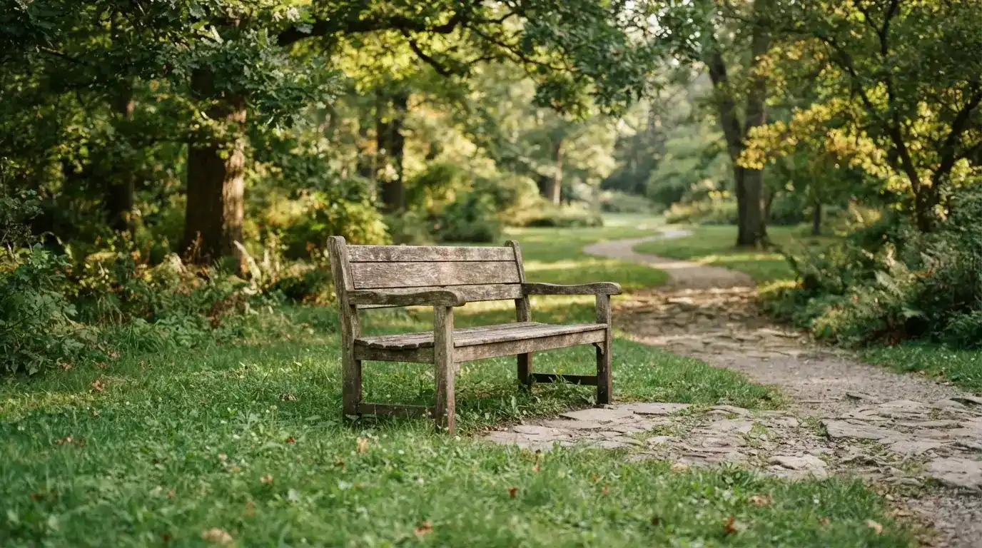Leere Holzbank neben einem ruhigen Waldweg im Morgenlicht